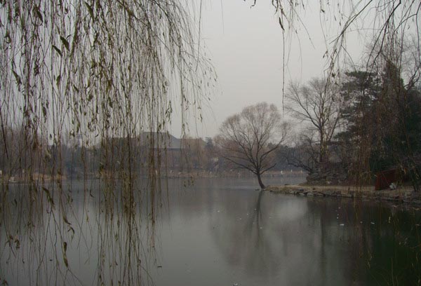 ıW(xu)δ