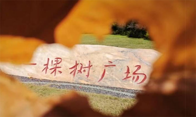W(xu)zӰ(i)߅f(xi)(hu)ek2023ꡰS(d)¶t~SL(fng)zӰِ