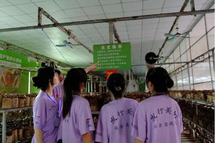 wߪq鏊(qing)֥