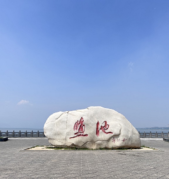 2023ڡl(xing)`---׷IE