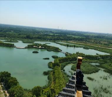 頂層鳥瞰